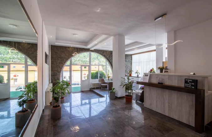 Vila Ursul Negru