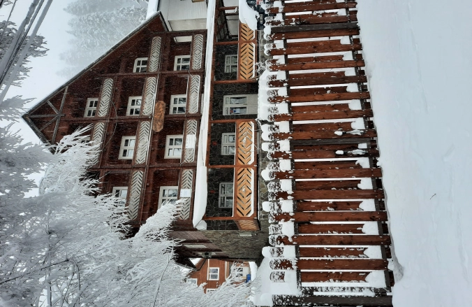 Pensiunea Vanatorul