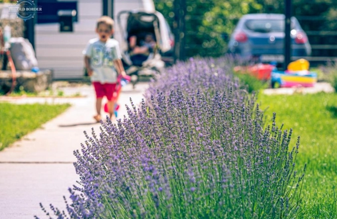 The Old Border Vama Veche