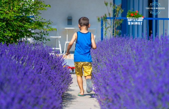 The Old Border Vama Veche