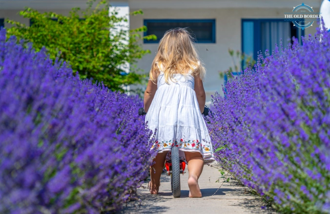 The Old Border Vama Veche