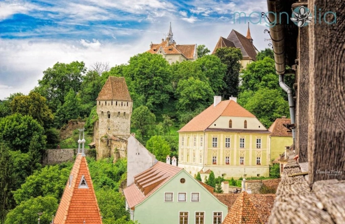 Magnolia Central Apartment