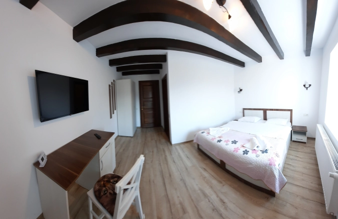 AristoCat Guesthouse