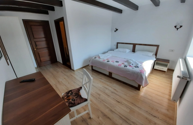 AristoCat Guesthouse