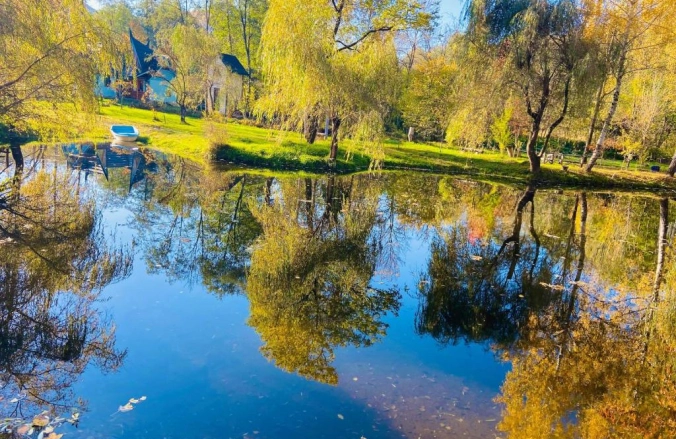 Viewtopia The Secret Land