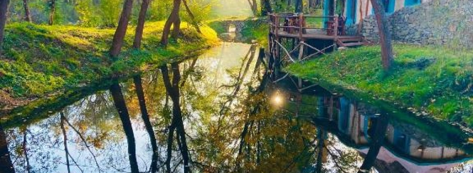 Viewtopia The Secret Land