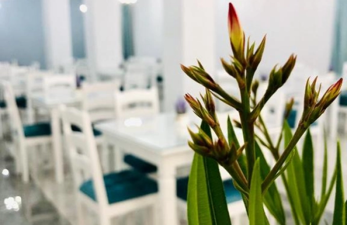 Hotel Tadora Eforie Nord