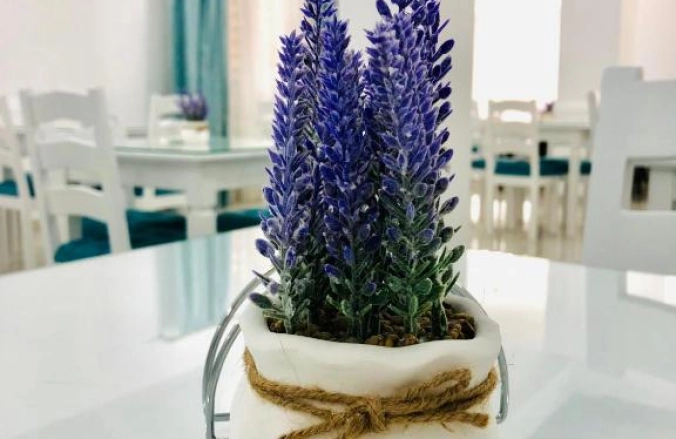 Hotel Tadora Eforie Nord