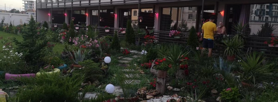 Vila Dream Resort Adults Only