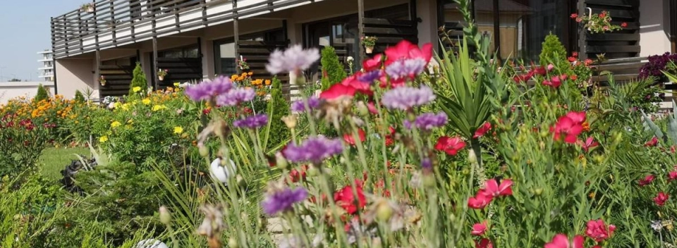 Vila Dream Resort Adults Only