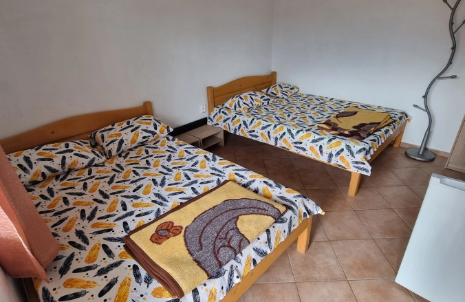 Casa Mititelu Costinești