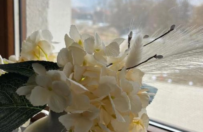 Hotel Europa Ocna Mureș