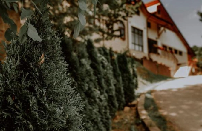 Pensiunea Poiana Verde Slănic-Moldova