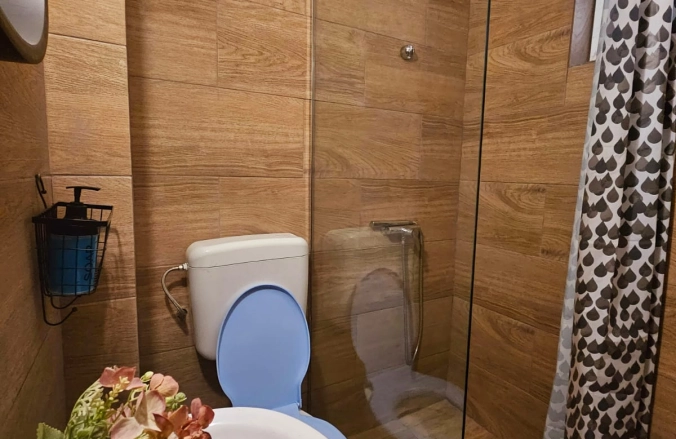 Vila Sofia Costinesti