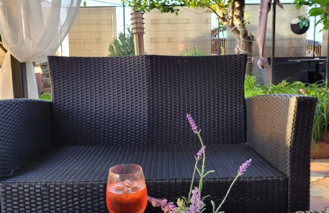 Vila Sofia Costinesti