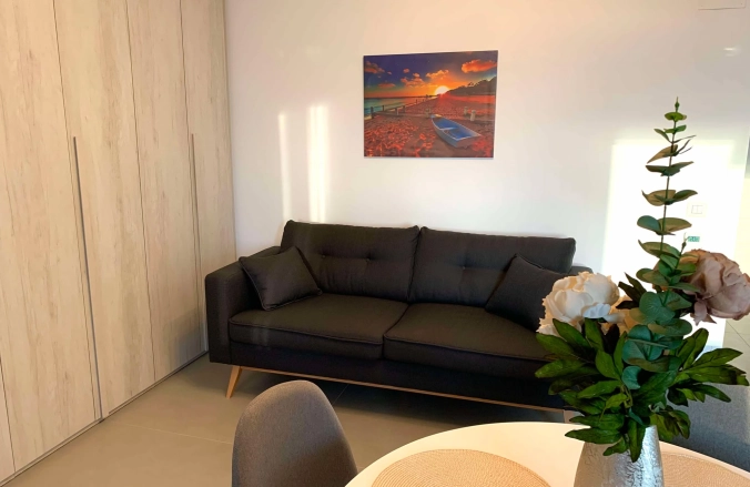 Oltenia Studio Decebal Residence Craiova