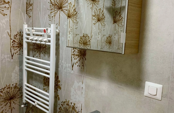 Oltenia Studio Decebal Residence Craiova